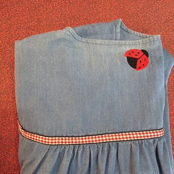 Go Softly Chambray Ladybug Embroidered Patio Dress 2X Snap Front Boho Relaxed - Picture 9 of 11